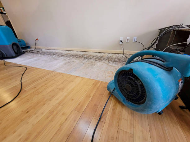 Professional Flood Damage Cleanup technician working in Raymond, IL